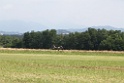 aerb 2009 068